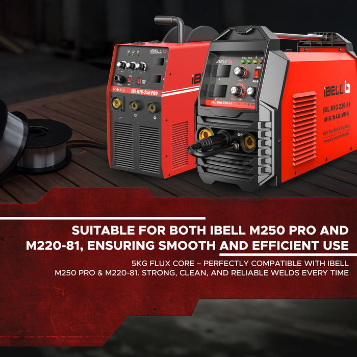 iBELL 4.9 KG, 76.2 cm (1 mm) Mild Steel MAG Flux Core Welding Wire E71T-GS on 4.9 KG Spool, Professional Gasless Wire with Low Spatter for All-Position Welding, Compatible with iBELL M250 Pro / M220-81 Machines