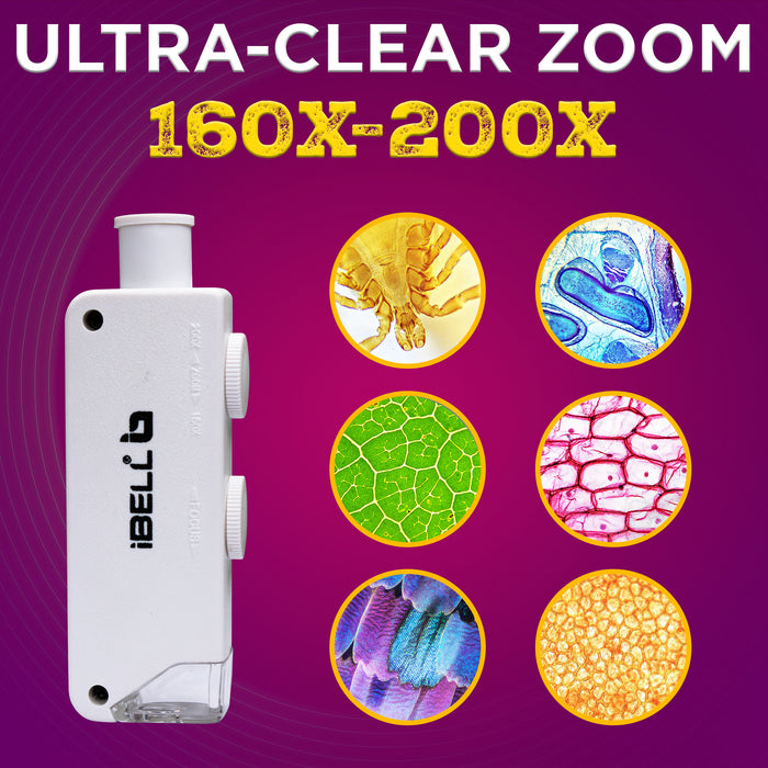 iBELL Professional Pocket Microscope IBL-ML16-20, 160X–200X Magnification with LED Light, ABS Body, Compact Handheld Microscope for Inspection and Education